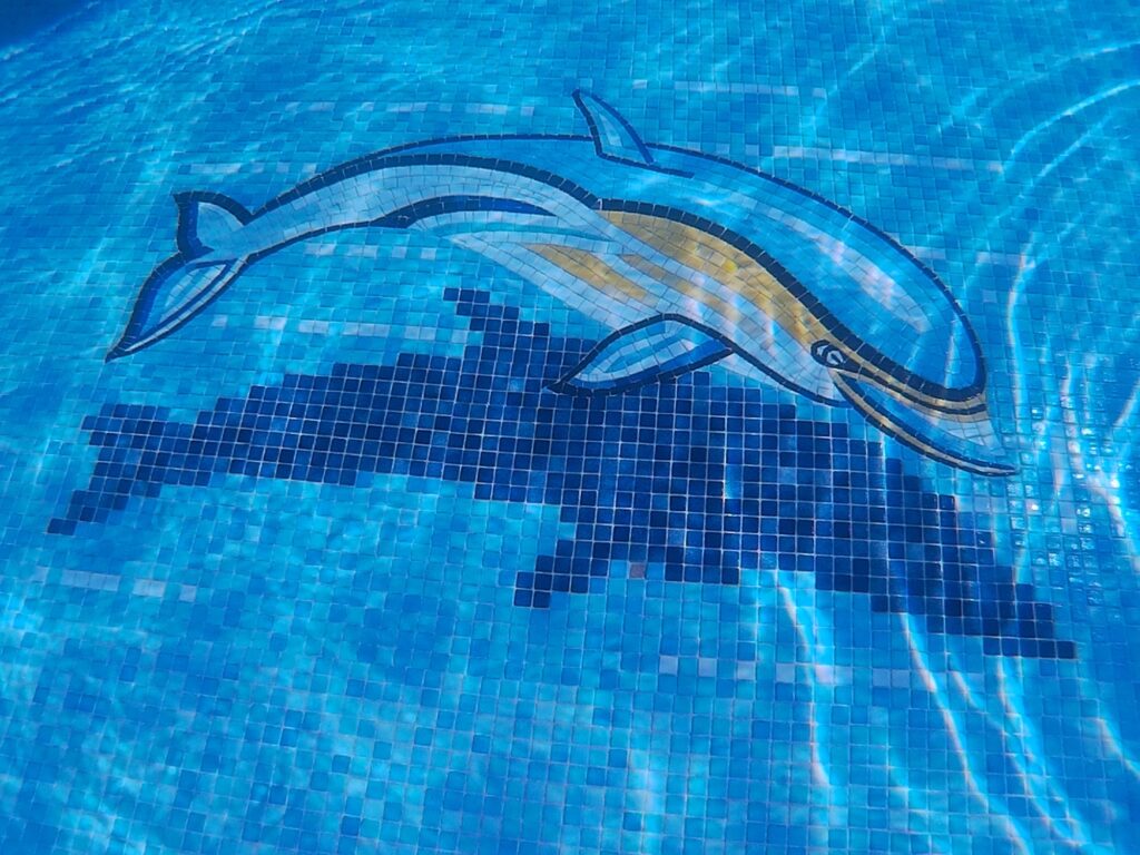 Dolphin mosaic underwater in swimming pool